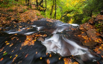 From the Field:  Ricketts Glen State Park Autumn 2014