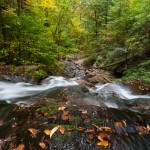 Ricketts Glen State Park Autumn Waterfall