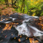 Pennsylvania Ricketts Glen Ganoga Falls Autumn