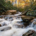North Carolina Boone Fork Creek Autumn