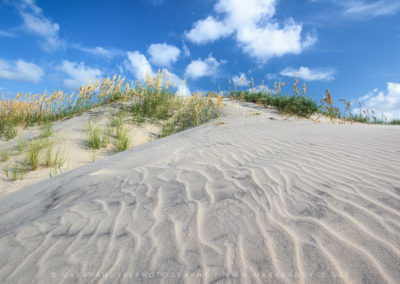 Sand Dune Sea Oats Pea Island North Carolina