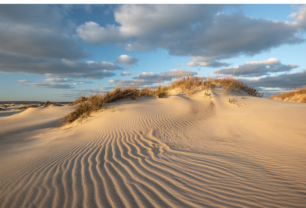 Pea Island National Wildlife Refuge