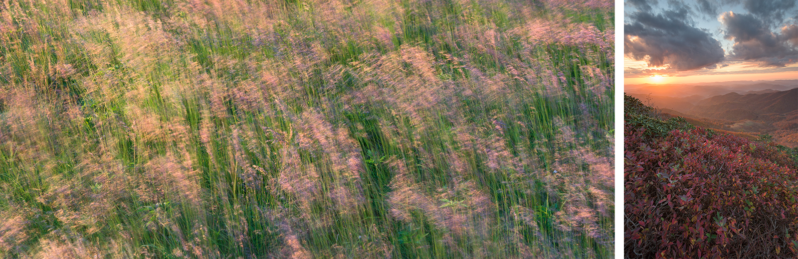 roan balds (2_pano left)