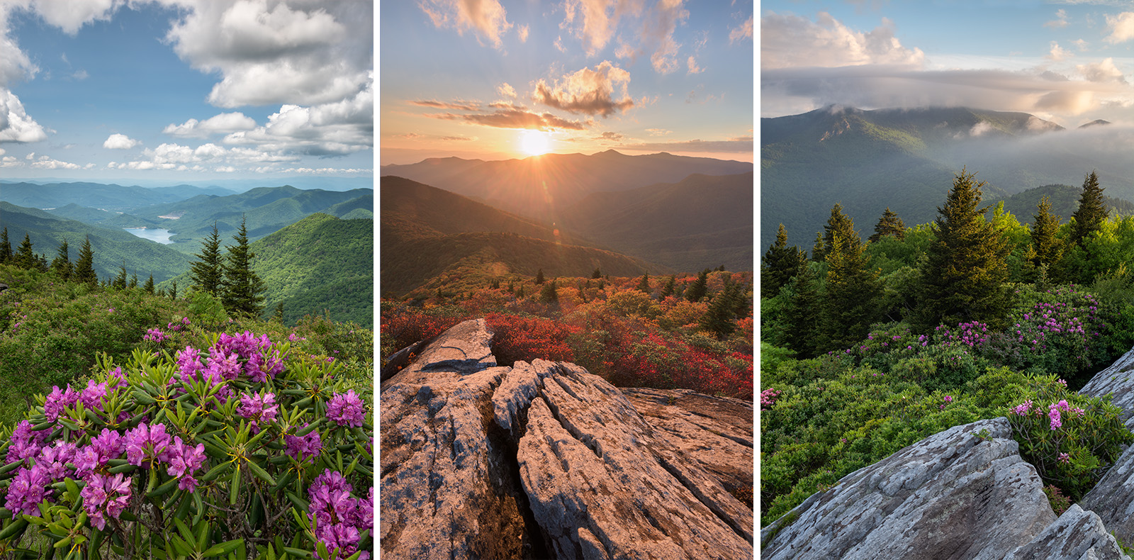 Black Mountains North Carolina