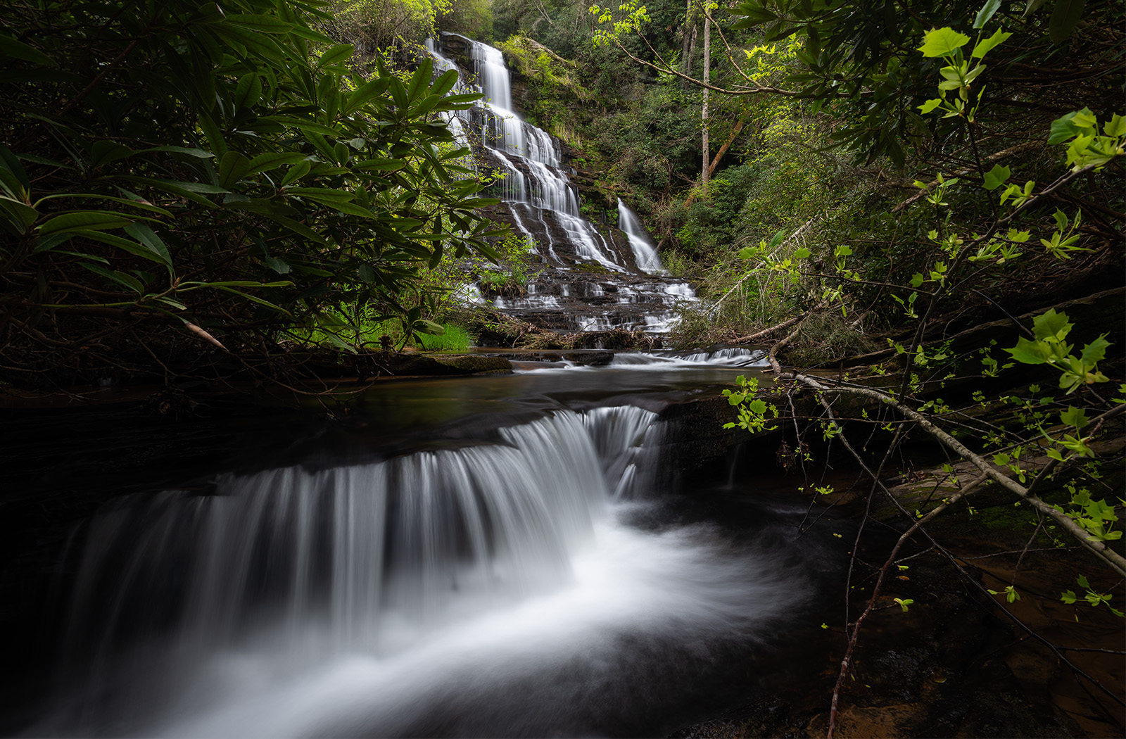 Blue Ridge Parkway Doughton Park North Carolina