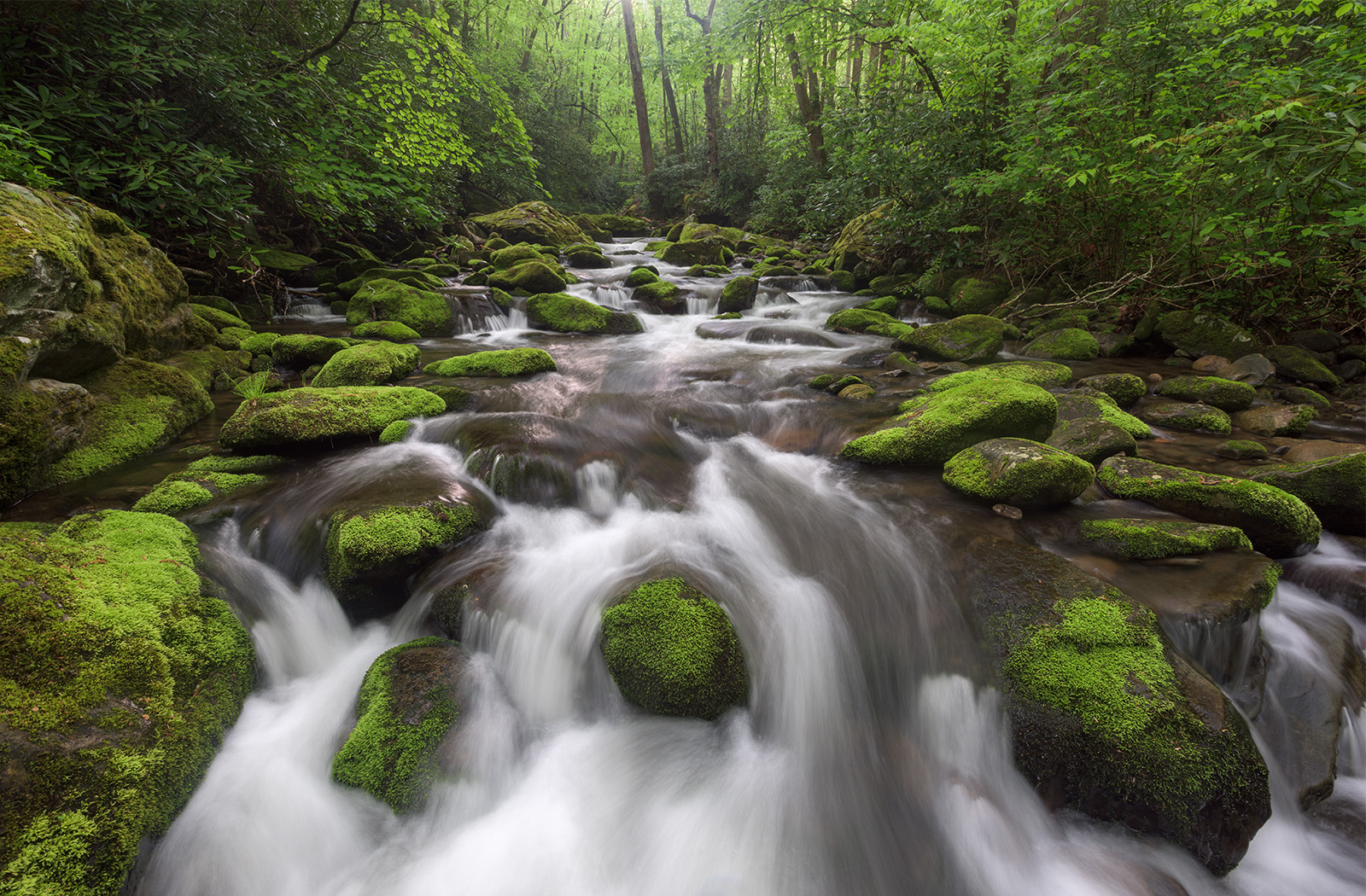 Blue Ridge Parkway Doughton Park North Carolina