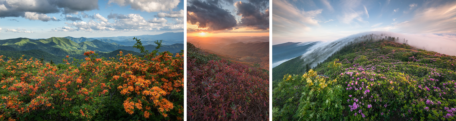 Blue Ridge Parkway Doughton Park North Carolina