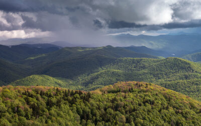 Spring Mountains + Rainstorm