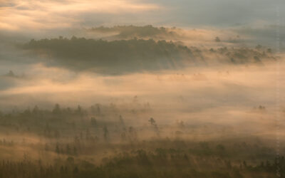 Valley Fog Sunrise