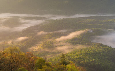 Whiteside Mountain Spring