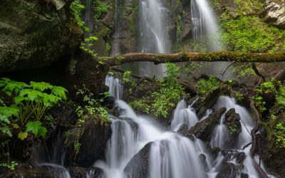 Blue Ridge Escarpment Waterfall