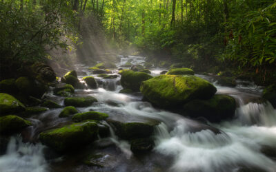 Roaring Fork Sun Beams