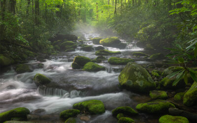 Roaring Fork Mossy Stones