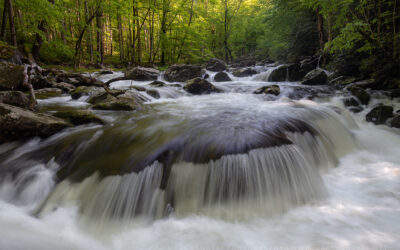 Tremont Cascade Spring