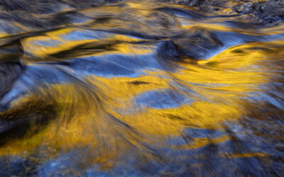 Long Creek Reflections