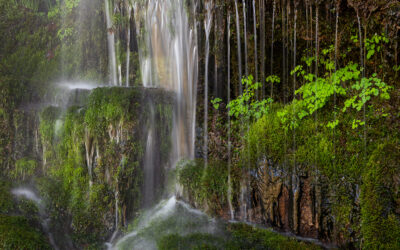 Southern Appalachian Mossy Waterfall