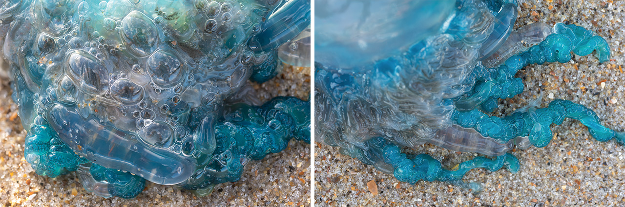 Divergent Sand Patterns