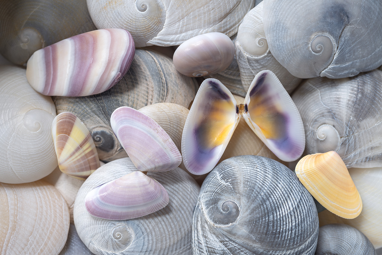 Divergent Sand Patterns