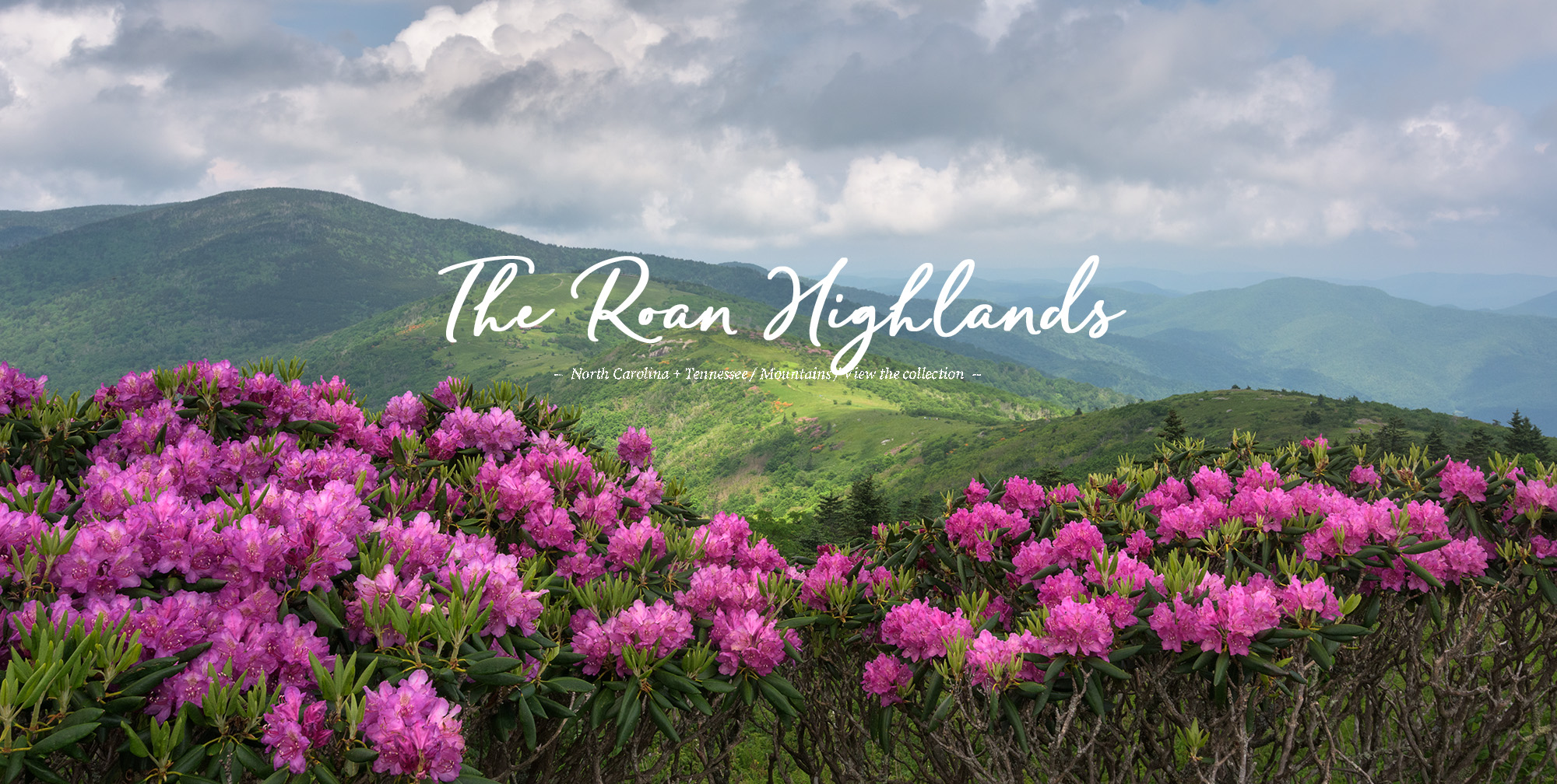 Roan Mountain Gallery Mark VanDyke Roan Highlands Gallery by Mark VanDyke